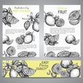 Lemons Brochure collection hand drawn vector illustration with leaves, Vintage yellow background Whole lemon, sliced Royalty Free Stock Photo