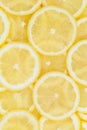 Lemons citrus fruits lemon portrait format collection food background fresh fruit