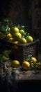 Lemons on a dark background. The lemons are arranged in a natural way, giving them an authentic look.