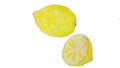 Lemons drawn with watercolour pencils Royalty Free Stock Photo