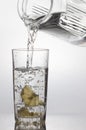 Lemons fell in a glass with water Royalty Free Stock Photo