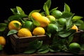 Lemons, files and oranges in a wooden box wit Royalty Free Stock Photo