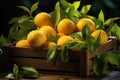 Lemons, files and oranges in a wooden box wit Royalty Free Stock Photo