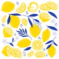 Lemons flat icons set. Oval citrus fruit with thick yellow skin. Slice of fresh vitamin and juicy fruit