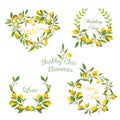 Lemons, Flowers, Leaves Banners and Tags. Floral Wreath Royalty Free Stock Photo