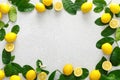 Lemons. Fresh juicy lemons with leaves on white background