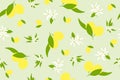 Lemons fruit background on green, citrus fruits, leaves and blossoms, seamless pattern Royalty Free Stock Photo