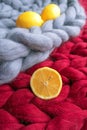 Lemons on the gray and red knitted blanket from merino wool Royalty Free Stock Photo