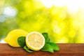 Lemons with green leafs Royalty Free Stock Photo