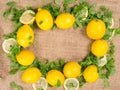 Lemons and green salad Royalty Free Stock Photo