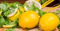 Lemons and green salad Royalty Free Stock Photo