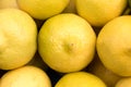 Lemons at grocery store or market, closeup