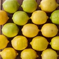 Lemons on kitchen table, vibrant citrus fruits arranged beautifully