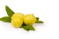 Lemons & Leaves Royalty Free Stock Photo