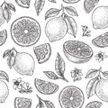 Lemons, leaves and flowers seamless pattern. Fresh summer citrus background. Engraved sketch style. Vector illustration. Royalty Free Stock Photo