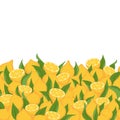 Lemons and leaves seamless horizontal background. Royalty Free Stock Photo