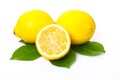 Lemons and lemon leaves Royalty Free Stock Photo