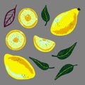 Lemons and lemon slices and leaves Royalty Free Stock Photo