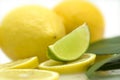 Lemons and lime Royalty Free Stock Photo