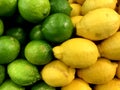 Lemons and Limes, Citrus Fruits, Green and Yellow