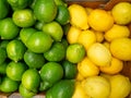 Lemons and limes in one box. Background from different citrus fruits. Yellow and green fruits. Citrus concept. in the eastern Royalty Free Stock Photo