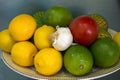 Lemons Limes Tomato Garlic Bowl net