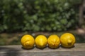 Lemons line over a wood terracce in a sunny day