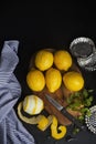 Lemons and mint for desserts. ingredients and metal molds Royalty Free Stock Photo