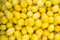 Lemons Royalty Free Stock Photo