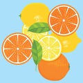 Lemons and Oranges Fruit Design