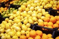 Lemons, oranges and other citrus fruits being sold in the supermarket