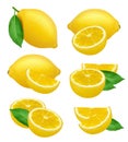 Lemons realistic. Fruits slices citrus natural products yellow vector natural food lime