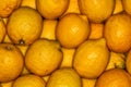 Lemons regular ordered pile background. Macro