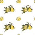 Lemons seamless fresh organic citrus summer fruits vector eps pattern on white background