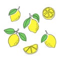 Lemons set. Hand drawn one line lemon vector illustration. Citrus fruits