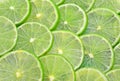 Lemons silce circle use for on background Royalty Free Stock Photo