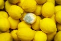 Lemons in store