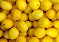 Lemons top view, yellow smooth lemons, box with lemons