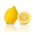 lemons with vector polygonal design