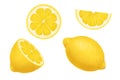 Lemons. Vector realistic illustration isolated on white. Whole, half and slices of a ripe lemon. Citrus juicy set of cut Royalty Free Stock Photo