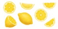 Lemons. Vector realistic illustration isolated on white. Whole, half and slices of a ripe lemon. Citrus juicy set of cut Royalty Free Stock Photo