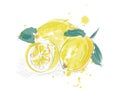 Lemons white line drawn on a dark background. Vector drawing of fruits. Abstract spots. Colored lemons logo.