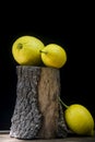 Lemons on a wooden log Royalty Free Stock Photo