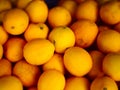 Lemons yellow and fresh tropical fruit