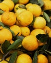 Lemons in yellow Royalty Free Stock Photo