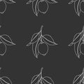 Seamless pattern with lemons. Line drawing isolated on dark gray background. Fresh Fruits with leaves. Summer design. Royalty Free Stock Photo