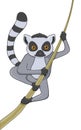 Lemur cartoon character