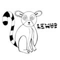 Lemur hand drawn vector illustration