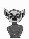 The lemur head and half body grey iilustration white backgroundcartoon illustration