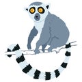 Lemur monkey cartoon vector